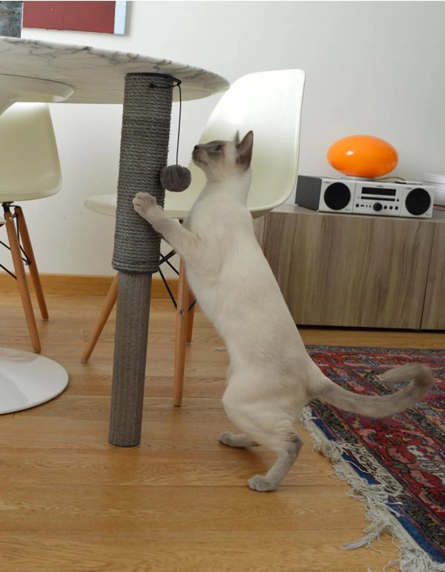 Klorestolpe til katt - Dyrekompaniet