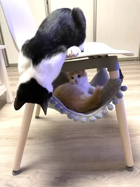 populær katteseng - Dyrekompaniet