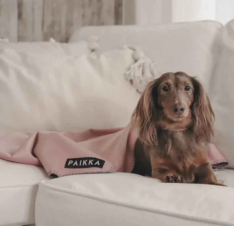 Hundetepper & hundepledd - Dyrekompaniet