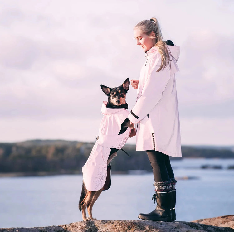 FAVORITTER - Dyrekompaniet