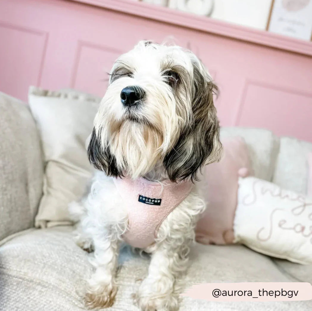 Cocopup sele i Teddy stoff