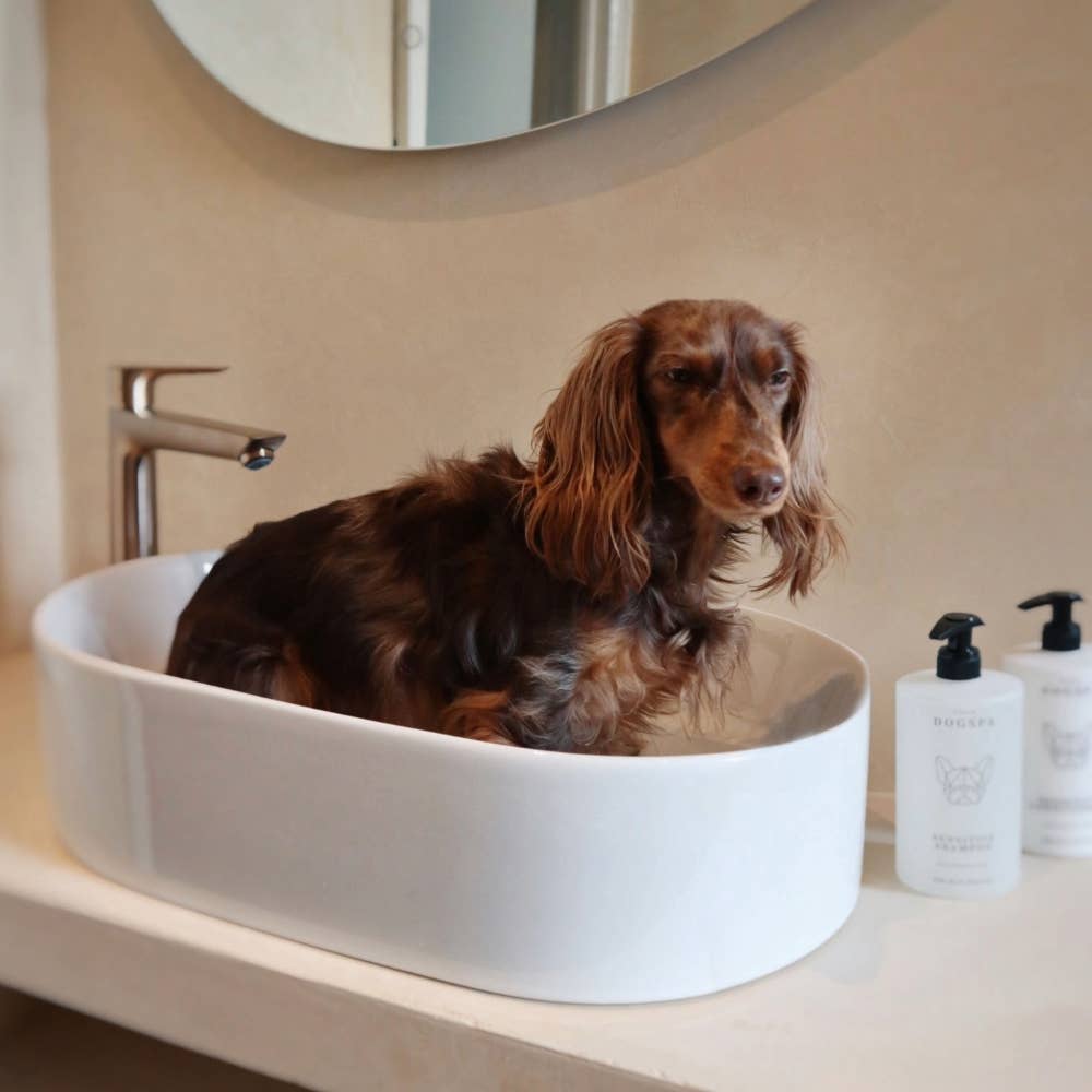 Sensitive Dog Conditioner