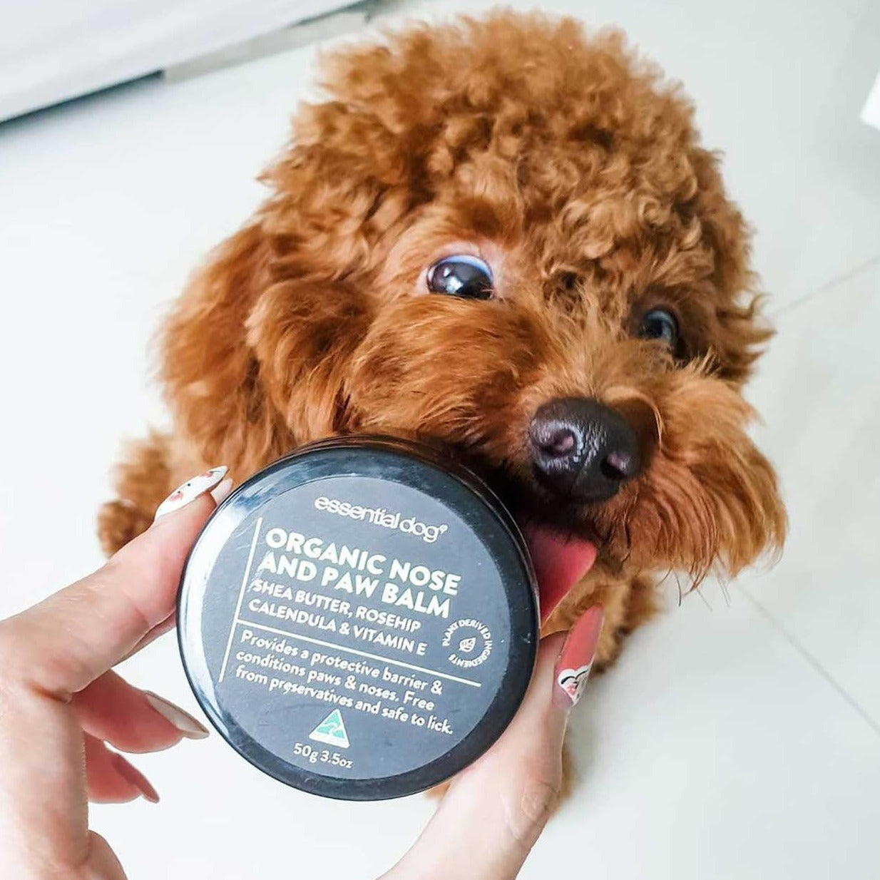 balsam til poter og nese - Dyrekompaniet