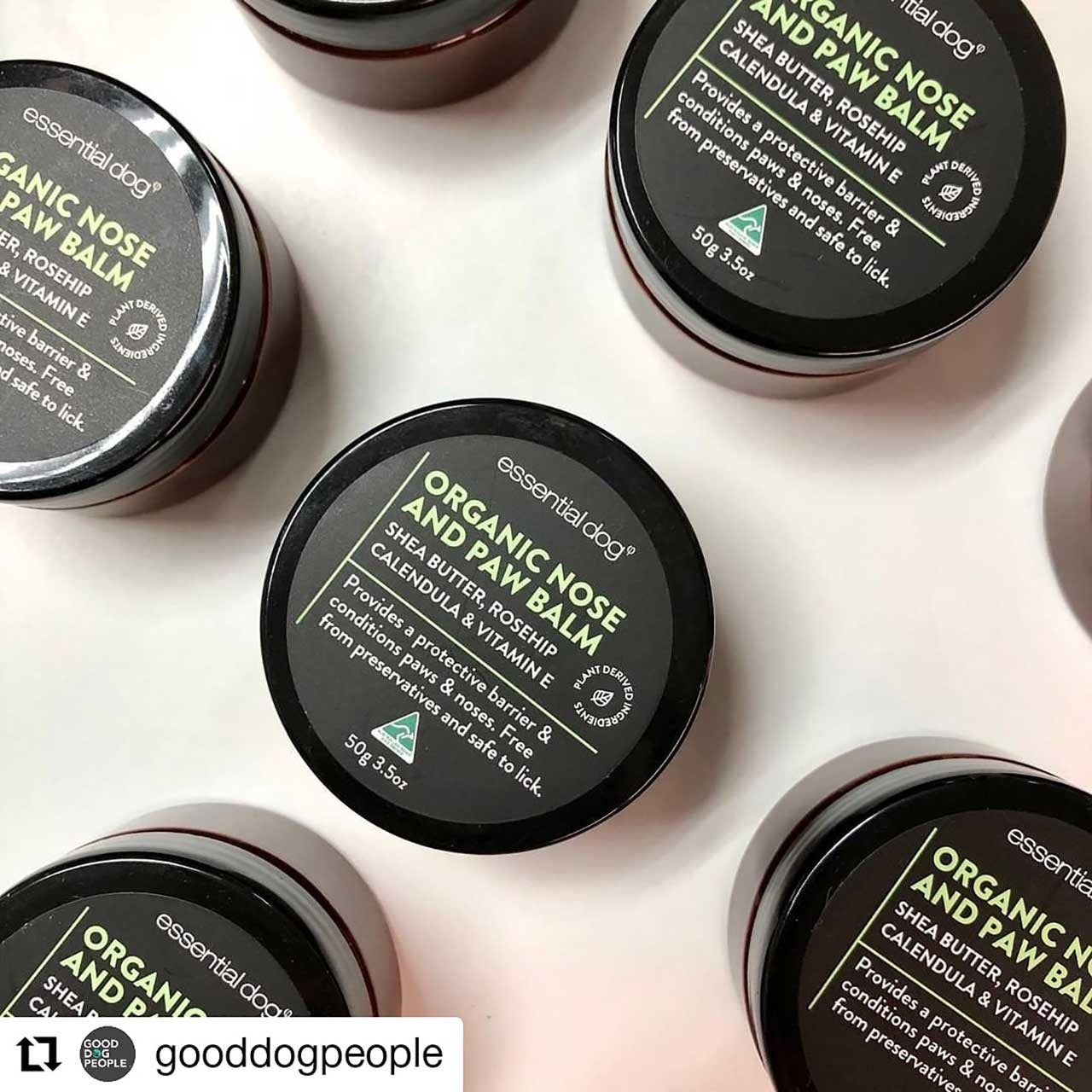 organisk balsam til poter - Dyrekompaniet