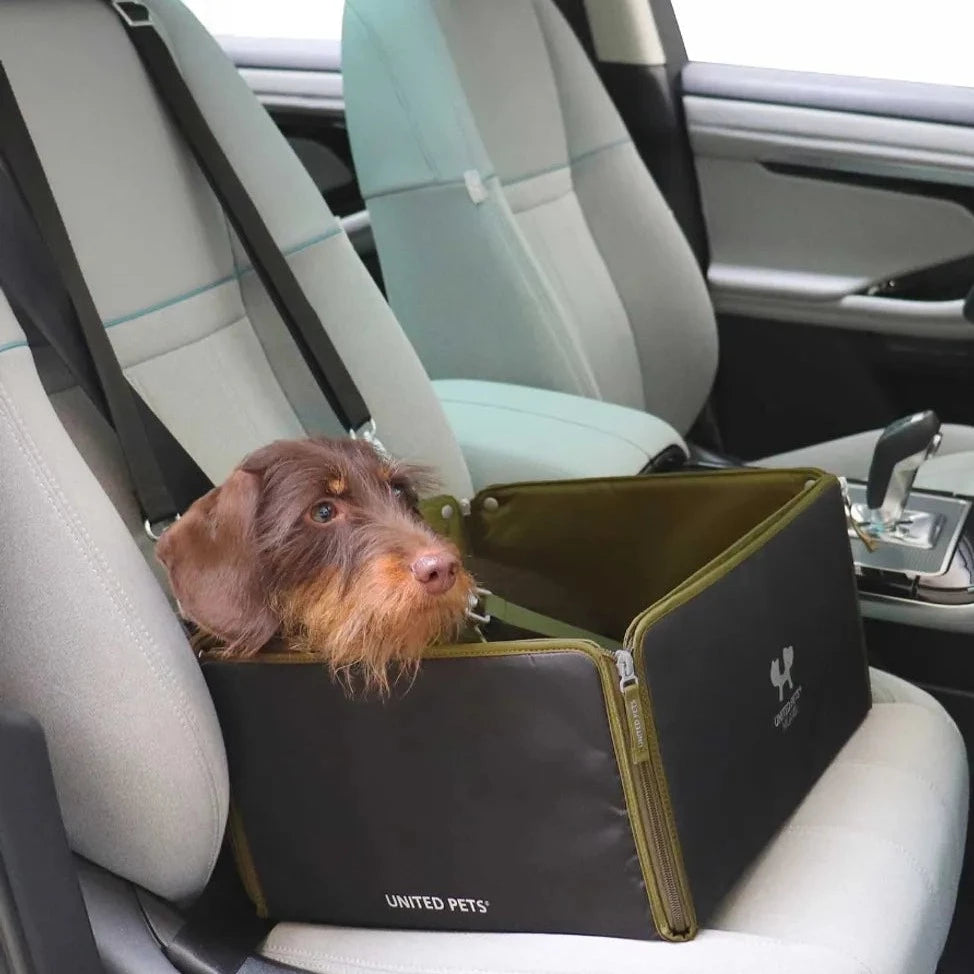 Bilsete til små hunder og katter svart/grønn - Dyrekompaniet