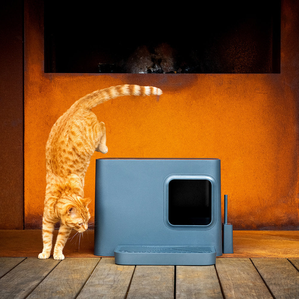  Grå ekstra stor kattedo med lokk - Kattetoalett hus - Dyrekompaniet