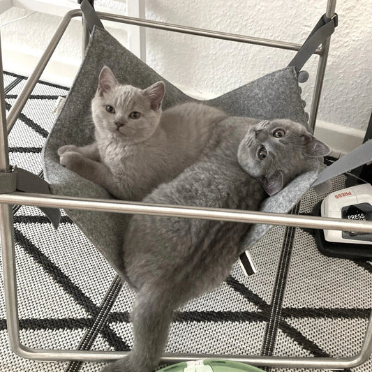 hengekøye katt grå ull - Dyrekompaniet