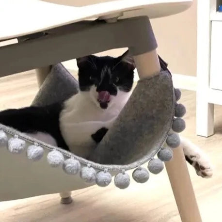 hengekøye katt - Dyrekompaniet