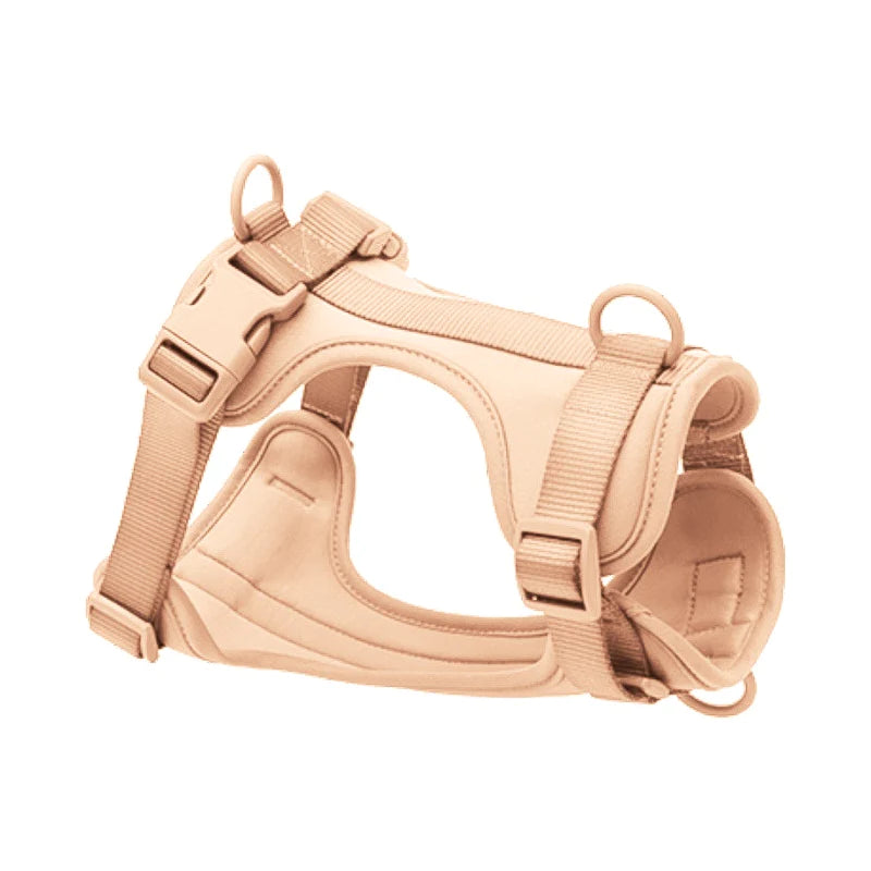 Sele til hund  - beige - Dyrekompaniet