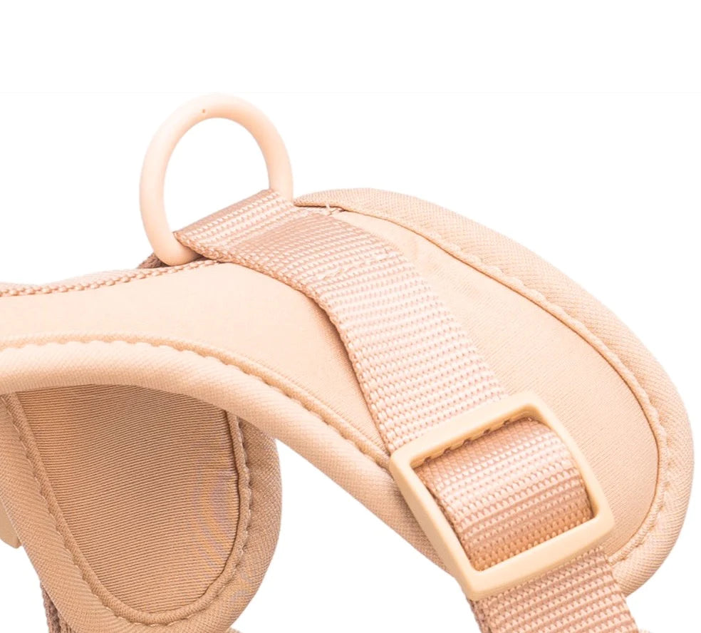 Sele til hund  - beige - Dyrekompaniet