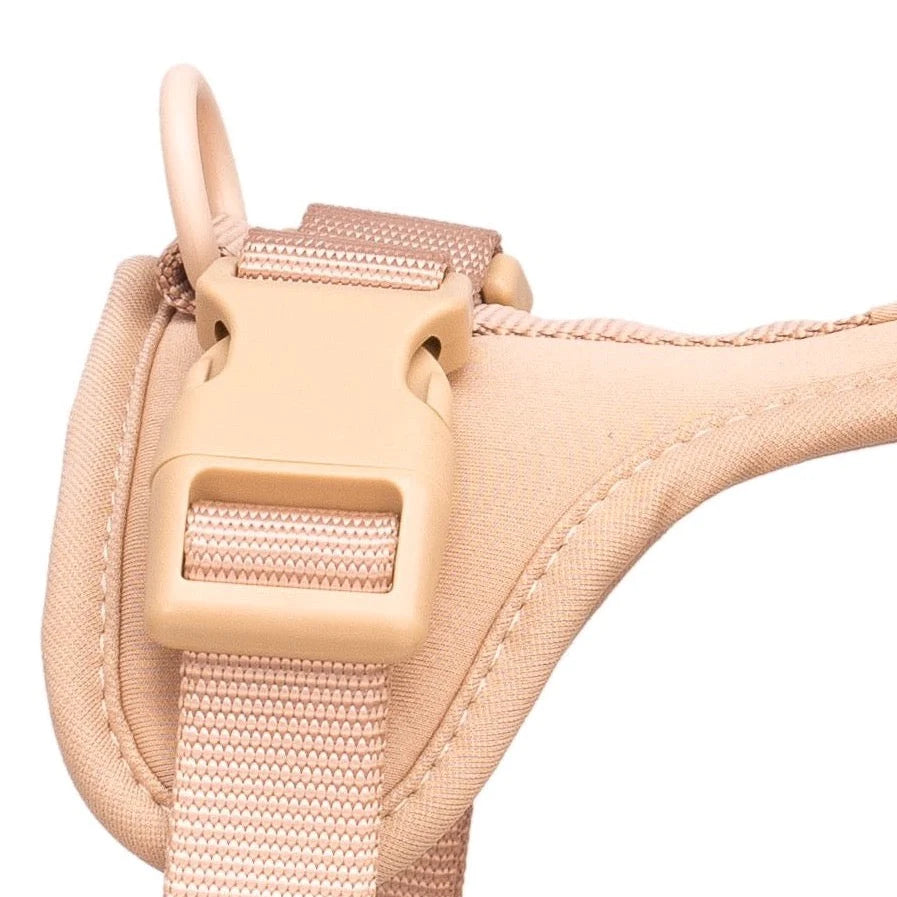 Sele til hund  - beige - Dyrekompaniet