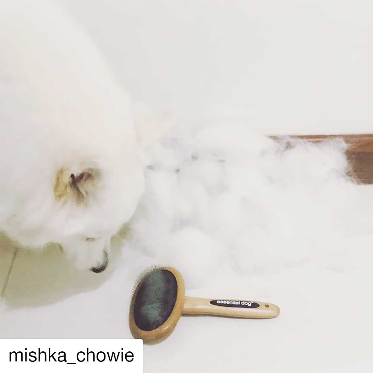 børste hund katt - Dyrekompaniet