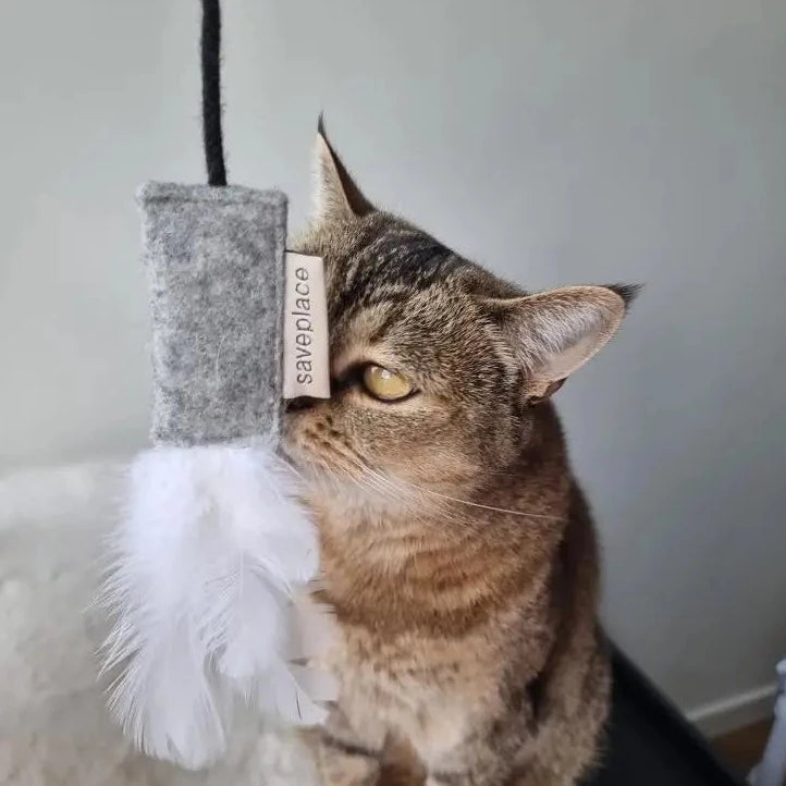 leke til katt med fjær - Dyrekompaniet