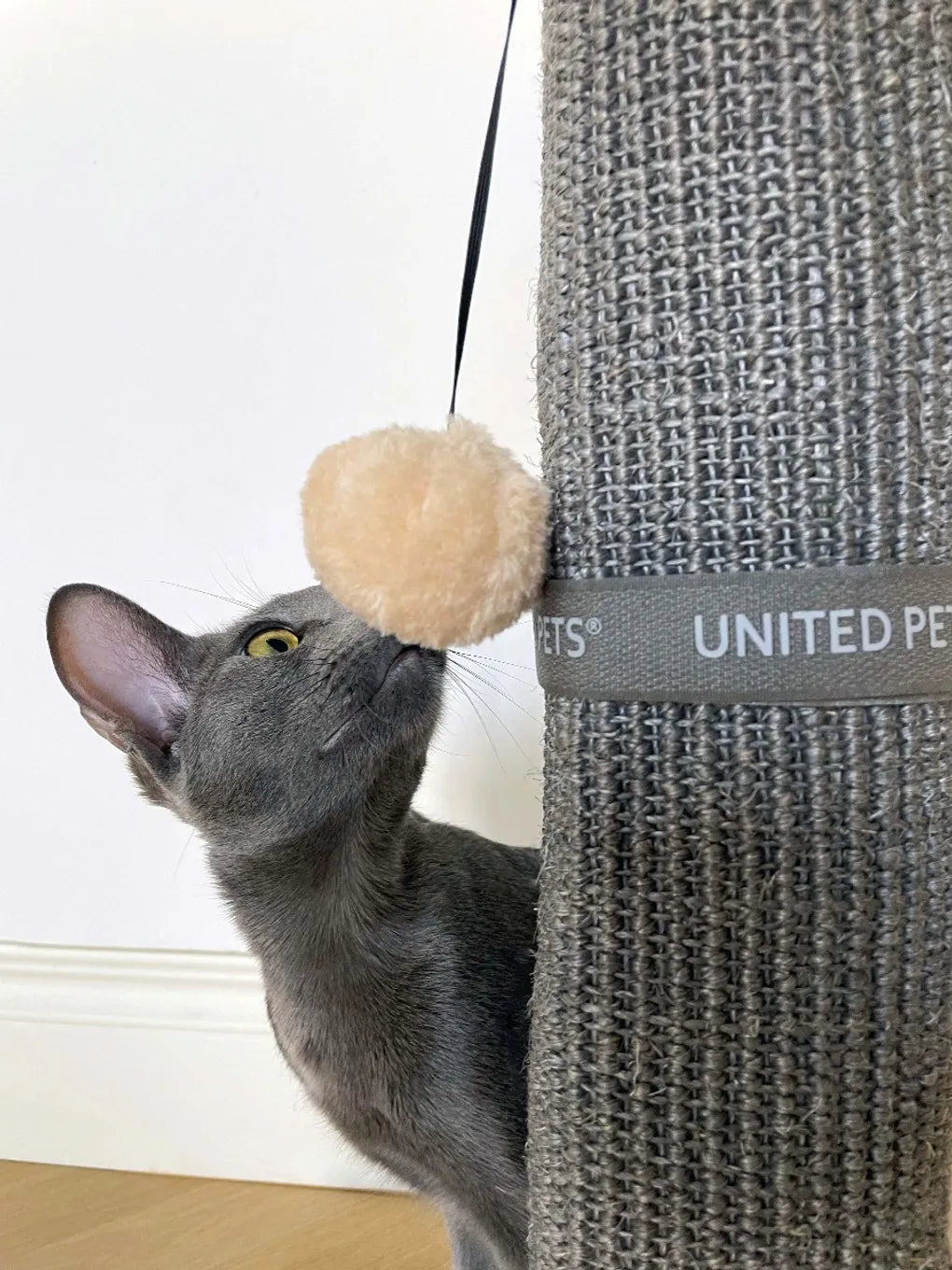 Klorebrett til bordbein - Dyrekompaniet