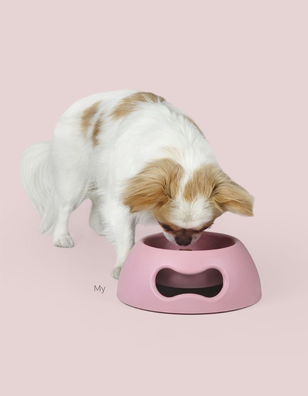 Liten matskål til hund og katt - blå - Dyrekompaniet