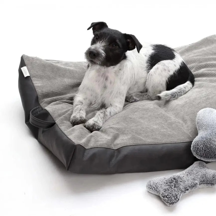 luksus reiseseng hund - Dyrekompaniet