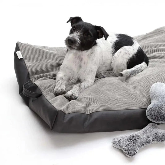 luksus reiseseng hund - Dyrekompaniet