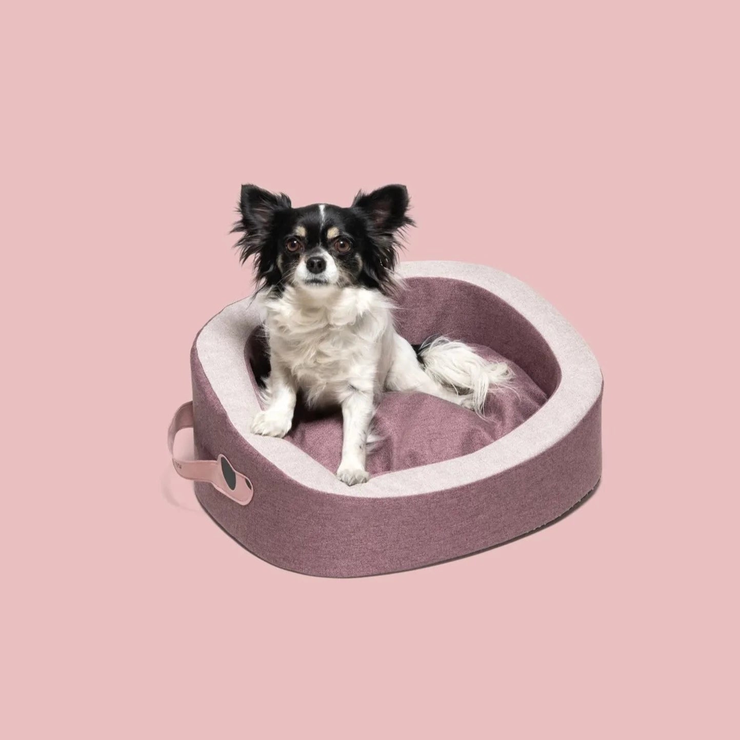 Liten hundeseng med myk kant rosa - Dyrekompaniet