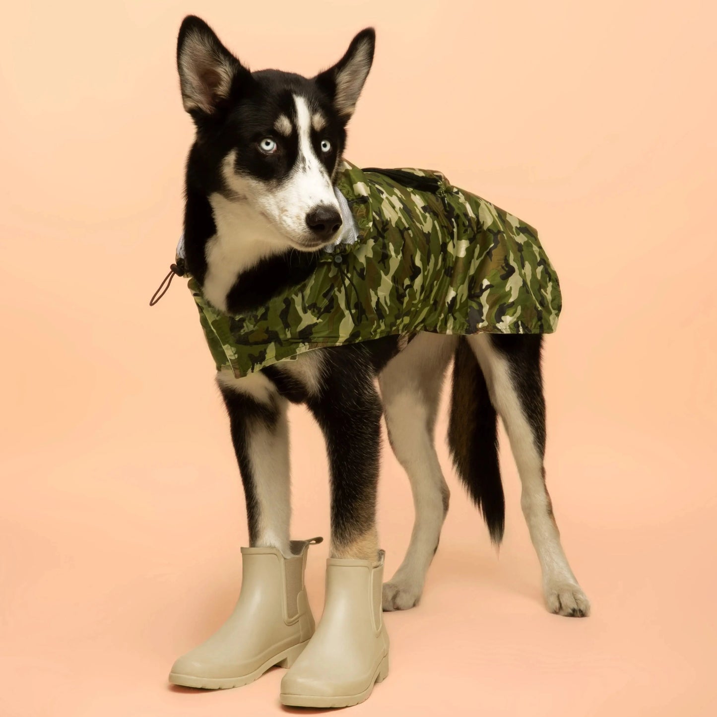 Sammenleggbar lett regnjakke til hund - Dyrekompaniet