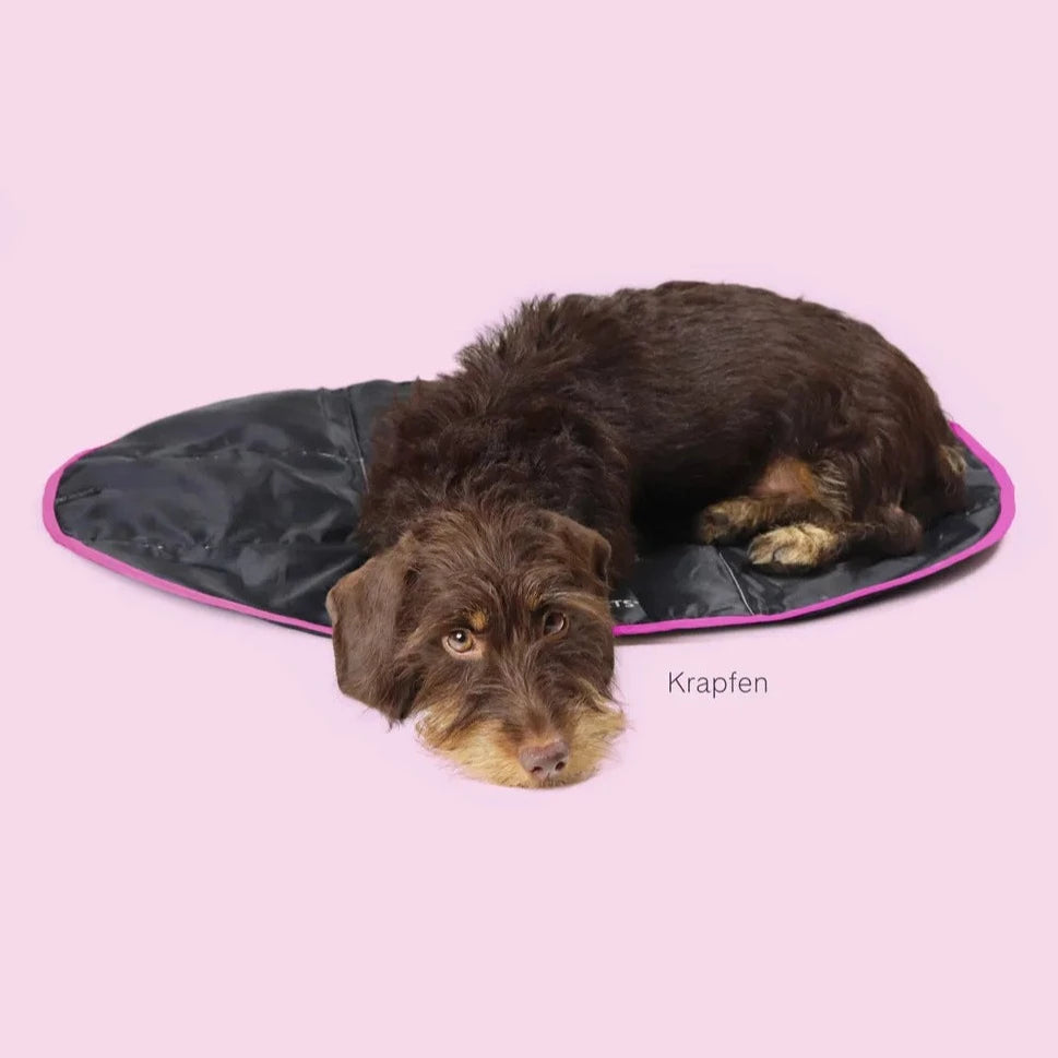 Sammenleggbar reiseseng til hund og katt svart/rosa - Dyrekompaniet