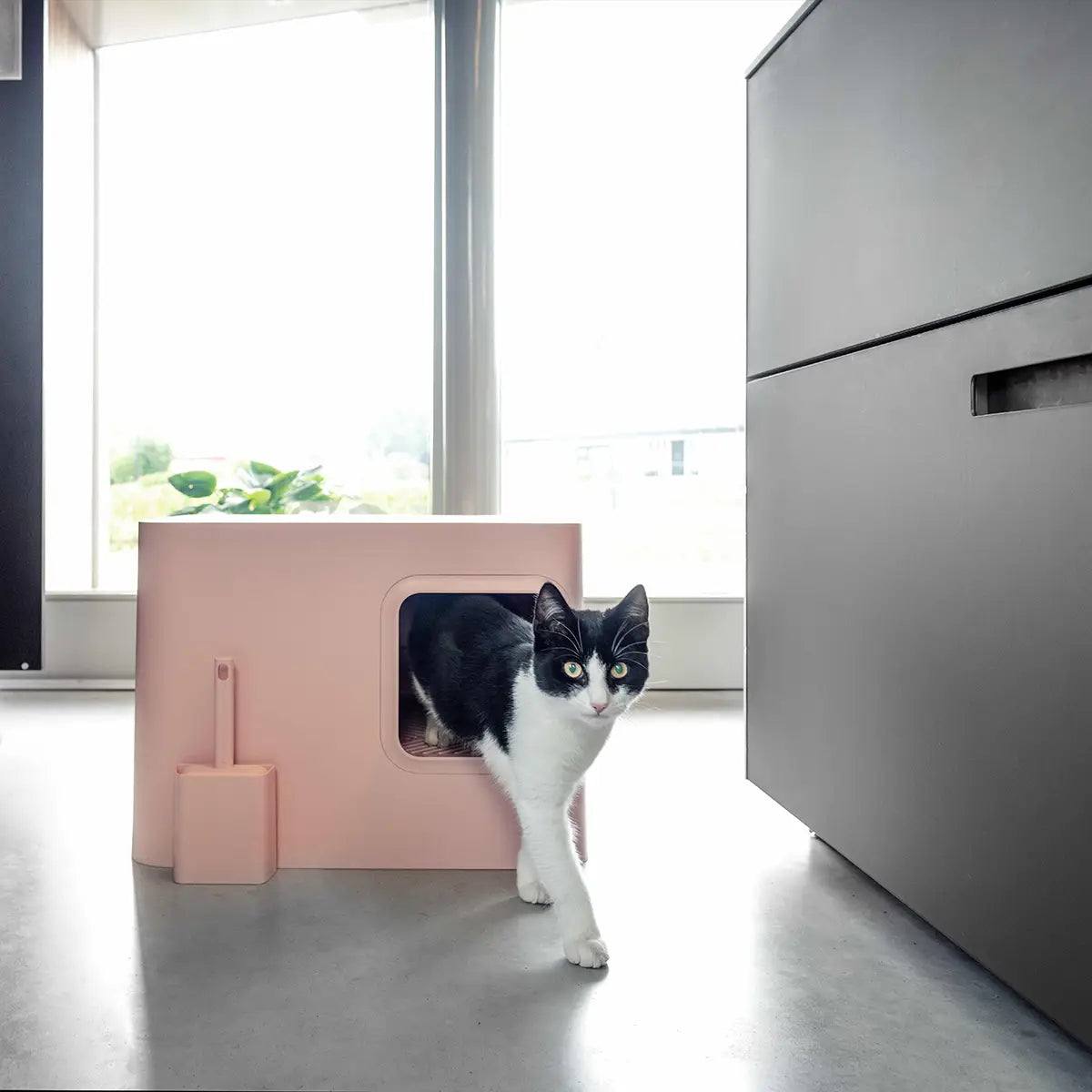 Rosa design kattedo med lokk - Kattetoalett hus - Dyrekompaniet