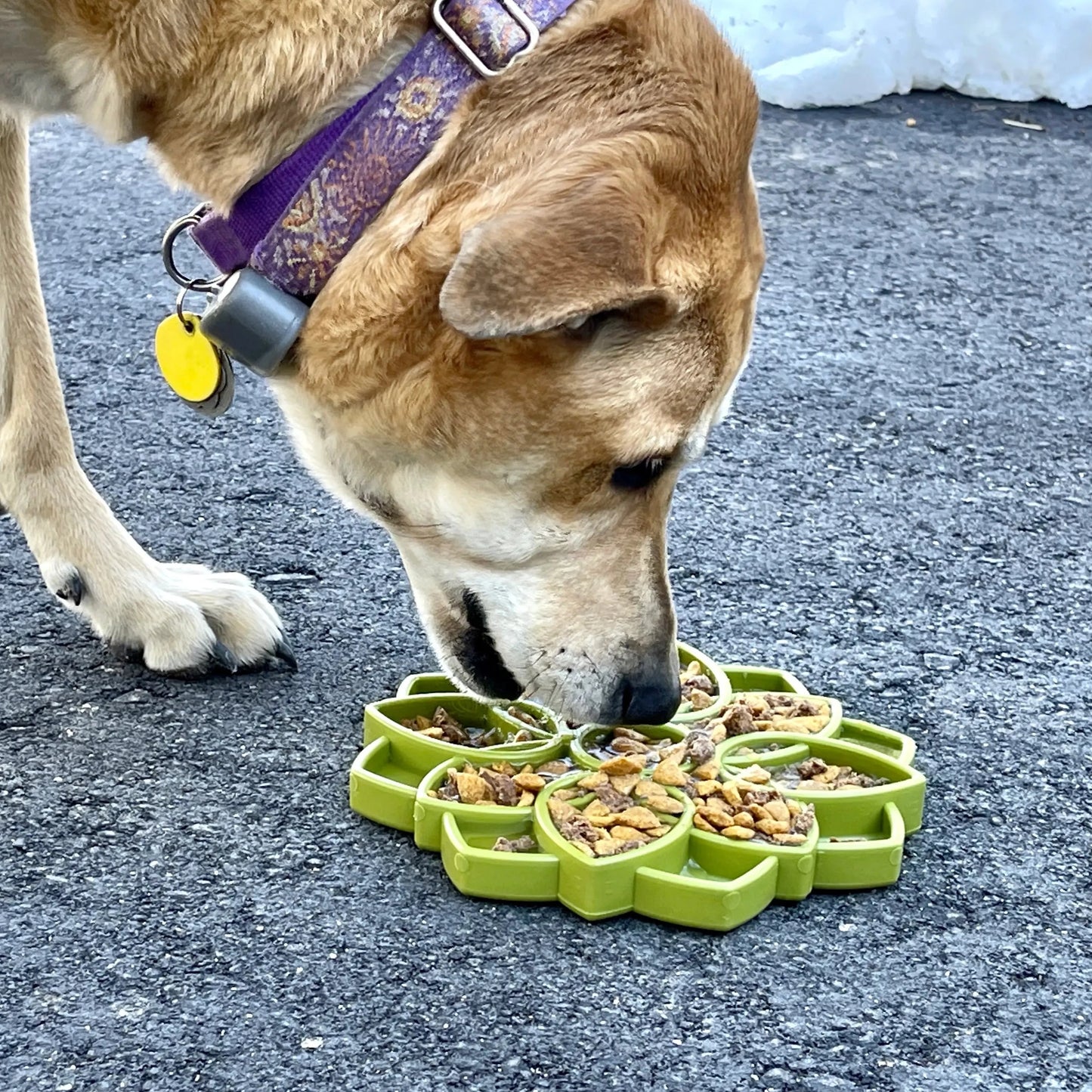 Slow feed/ spise saktere matskål Blomst - Dyrekompaniet