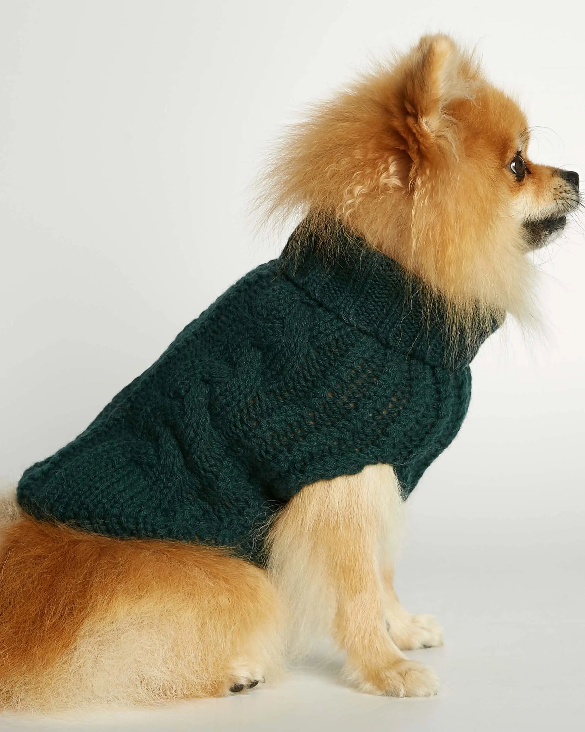 Strikket hundegenser 100% ull - mørk grønn - Dyrekompaniet